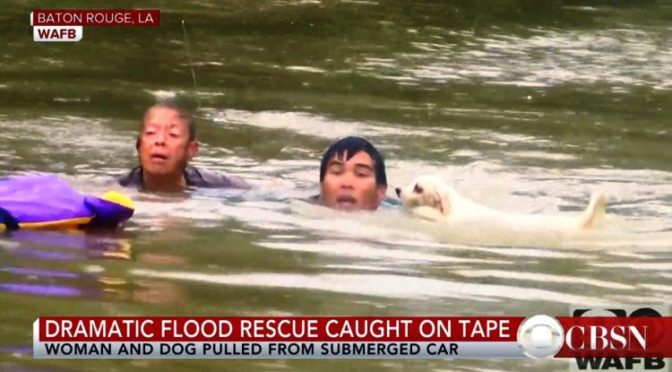 Louisiana Floods Bring Out The Best In People